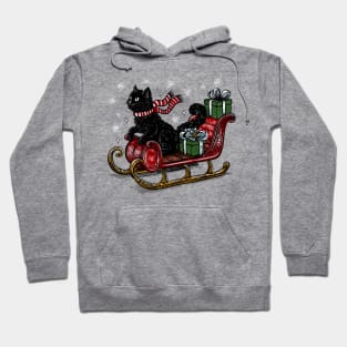 Santa’s Sleigh Hoodie